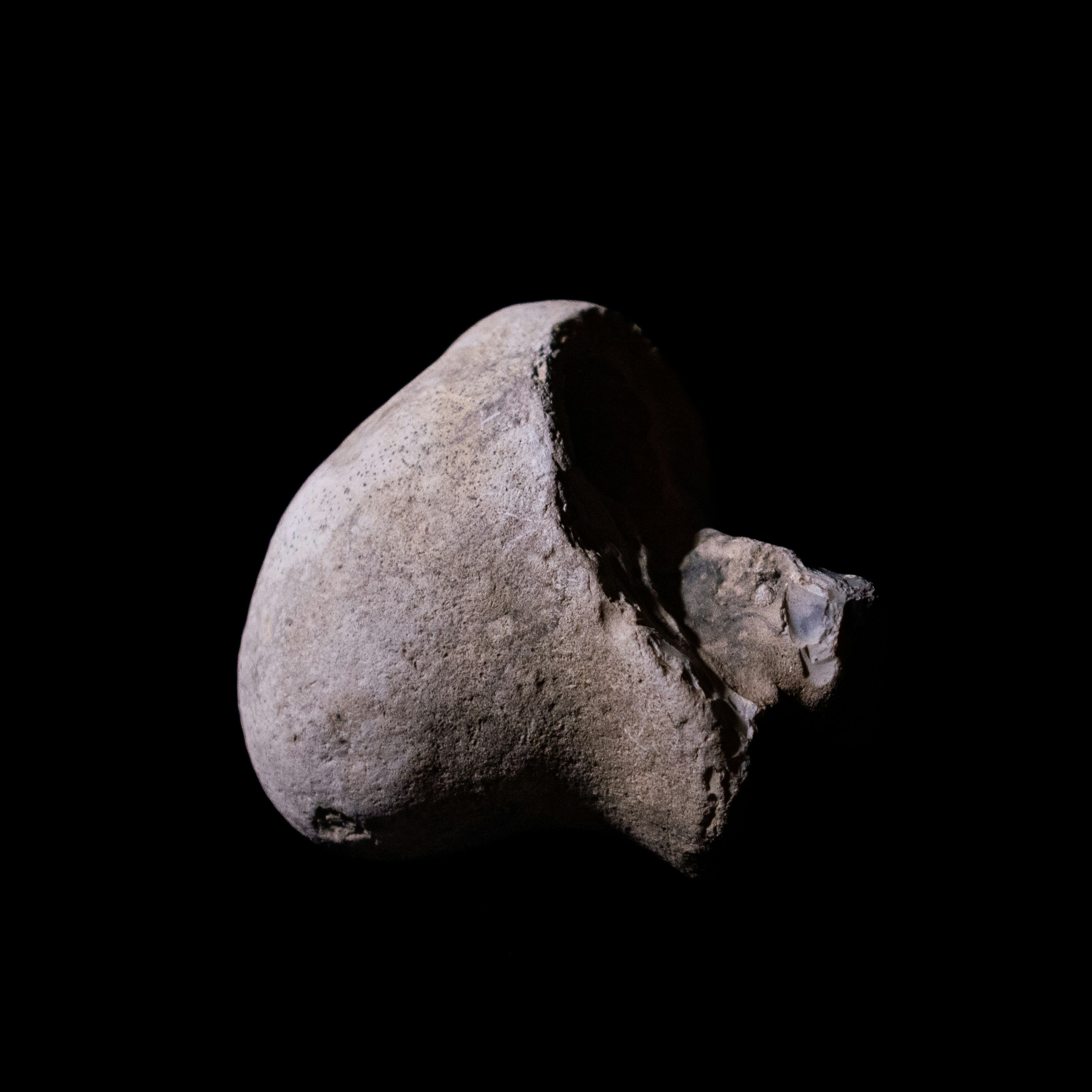 Photo by leydenfrost