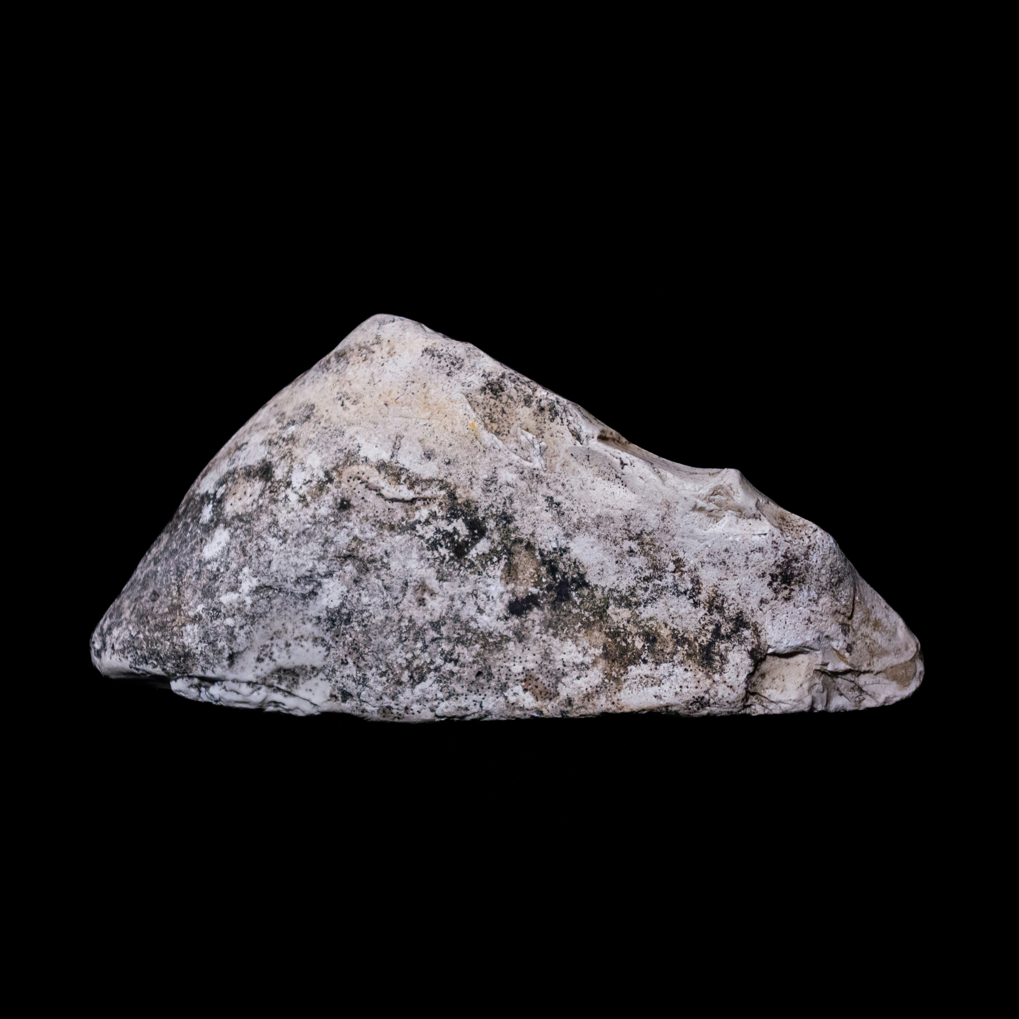 Photo by leydenfrost