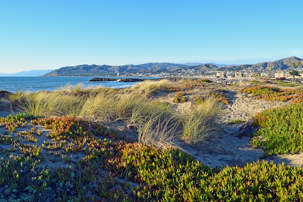 a view of a beach with mountains in the background