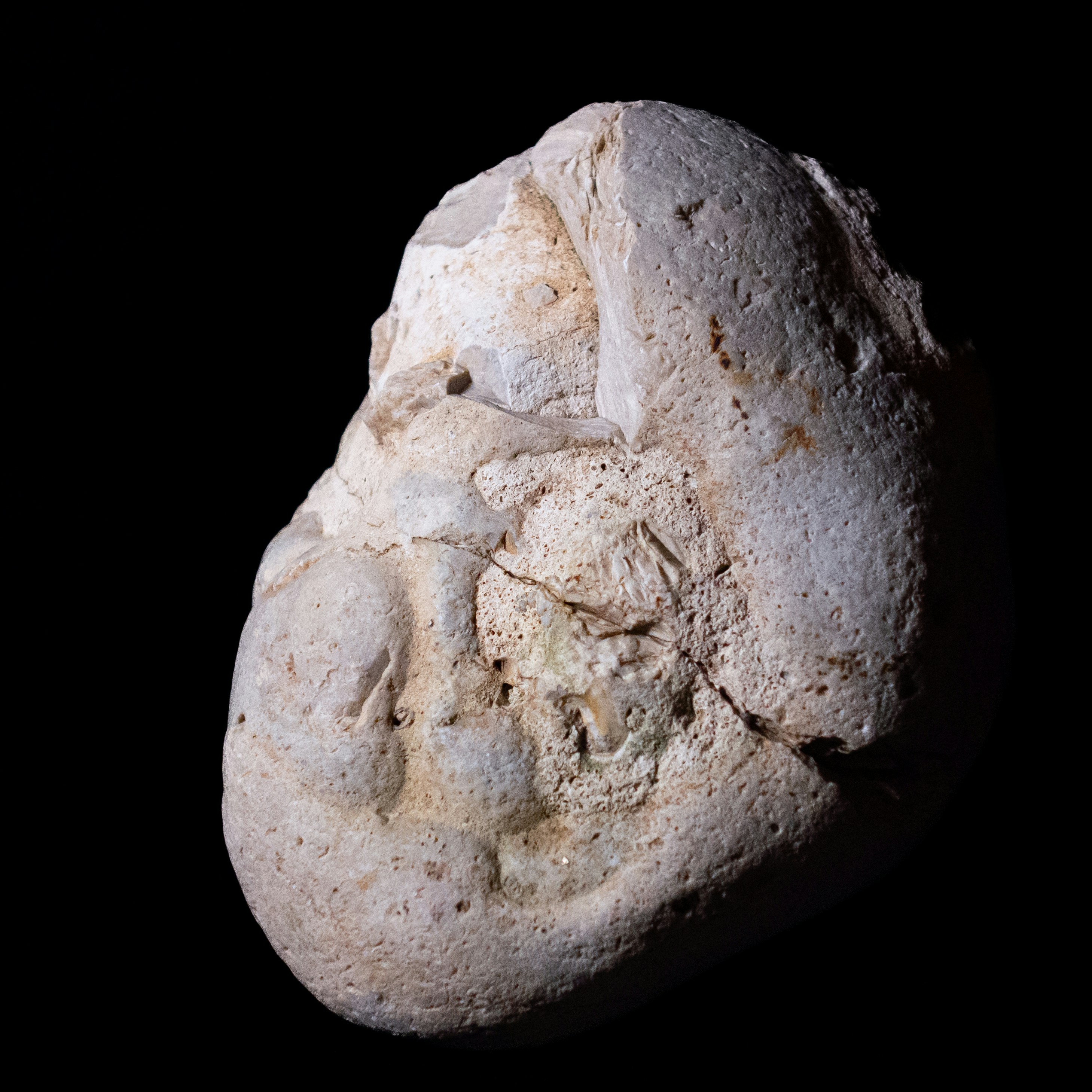 Photo by leydenfrost