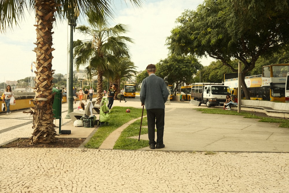 a man standing on a sidewalk next to a palm tree
