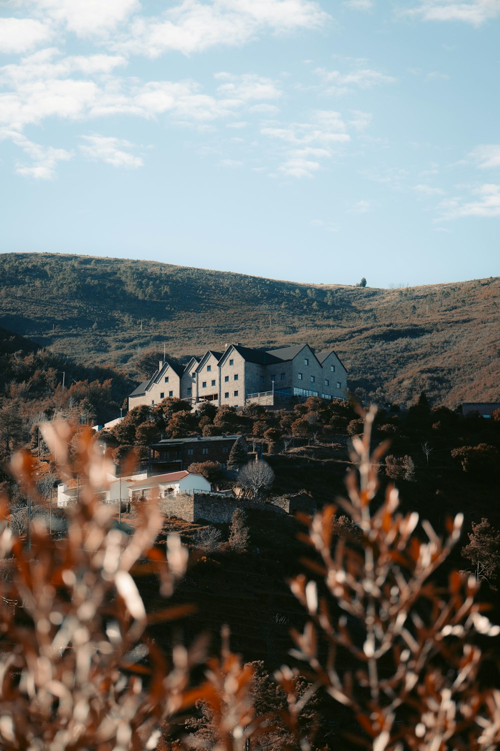 a group of houses sitting on top of a lush green hillside