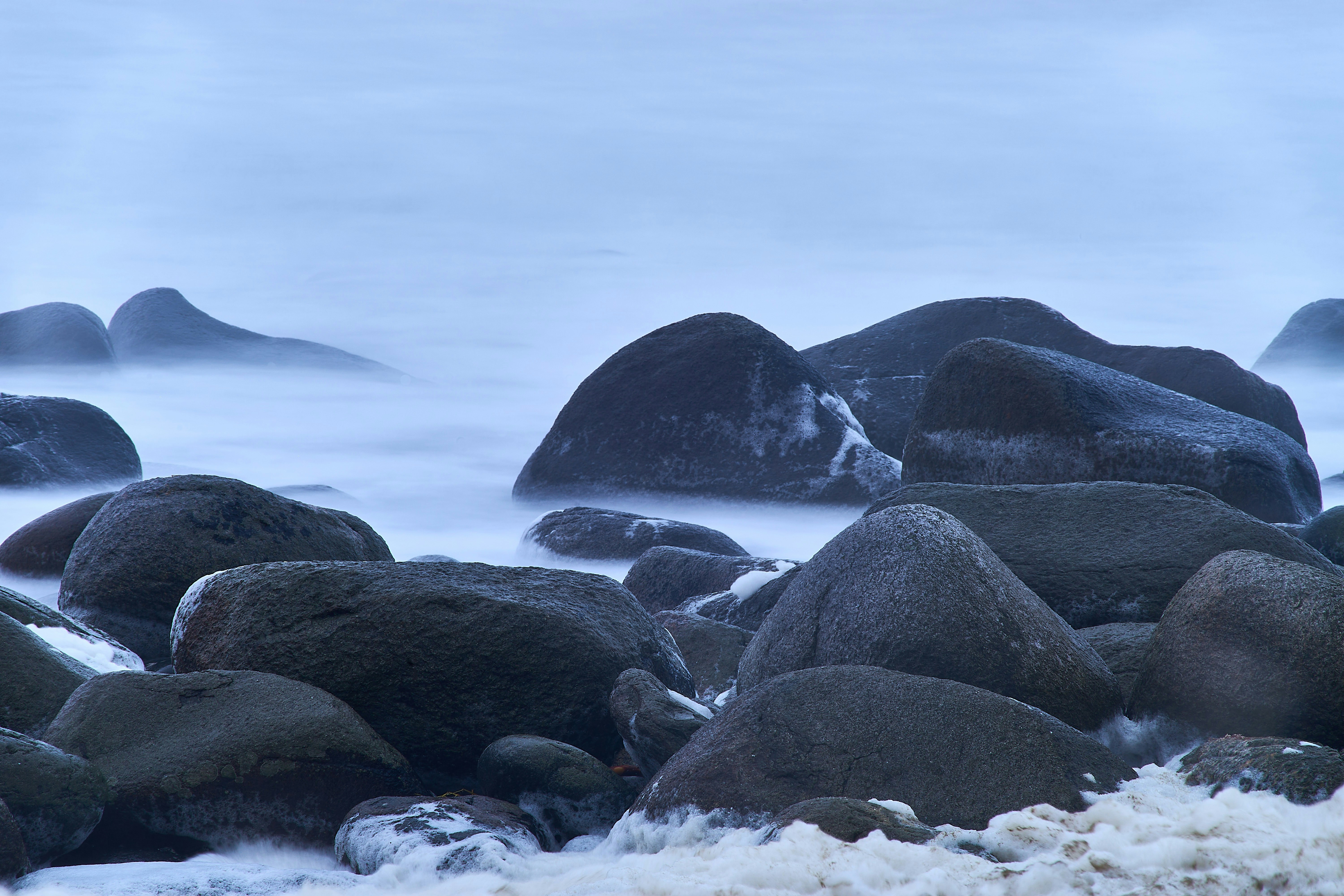 Photo by wolfgang_hasselmann