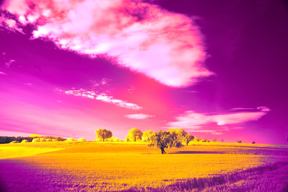 a field with a tree in the middle of it