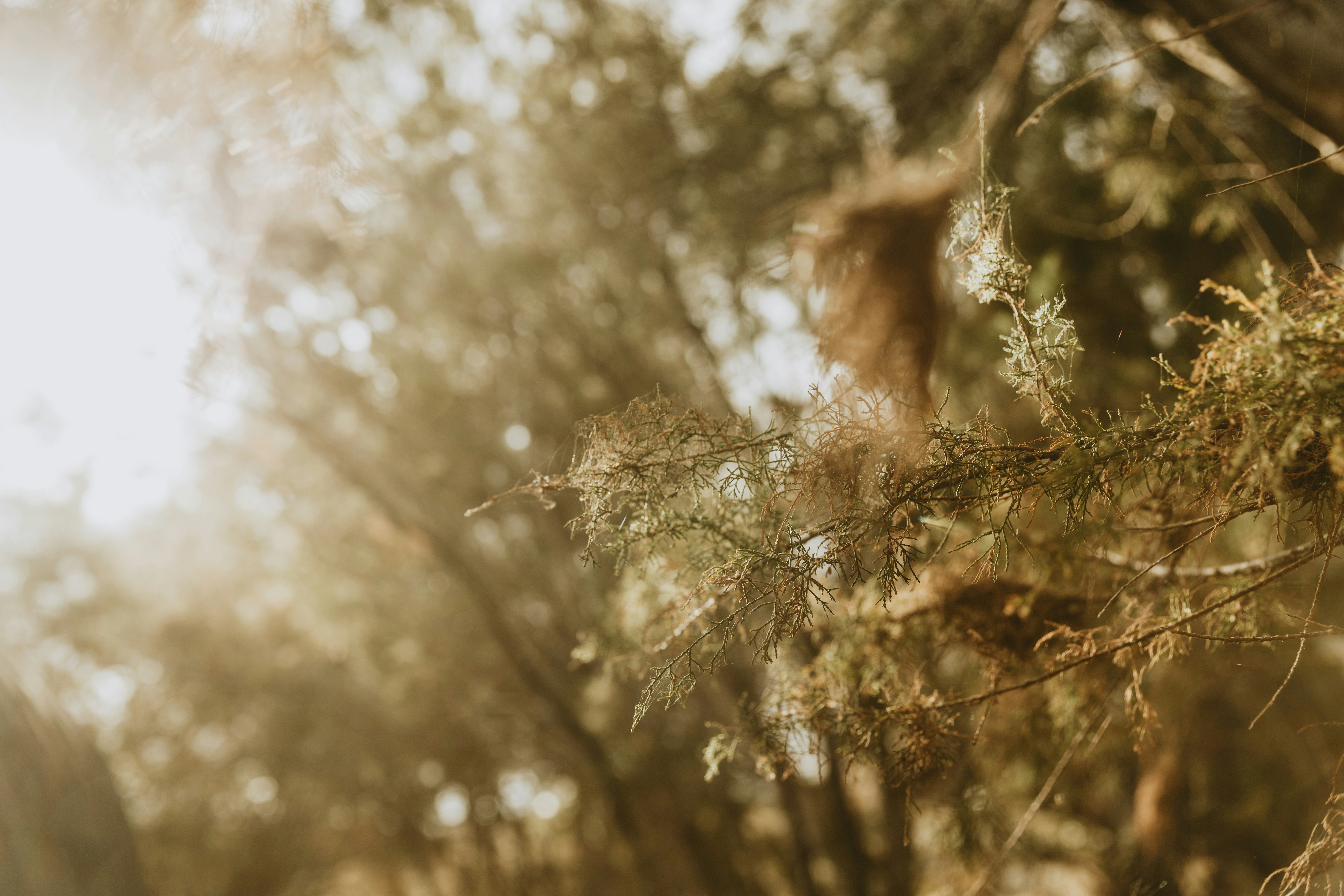 Photo by tomashudolin