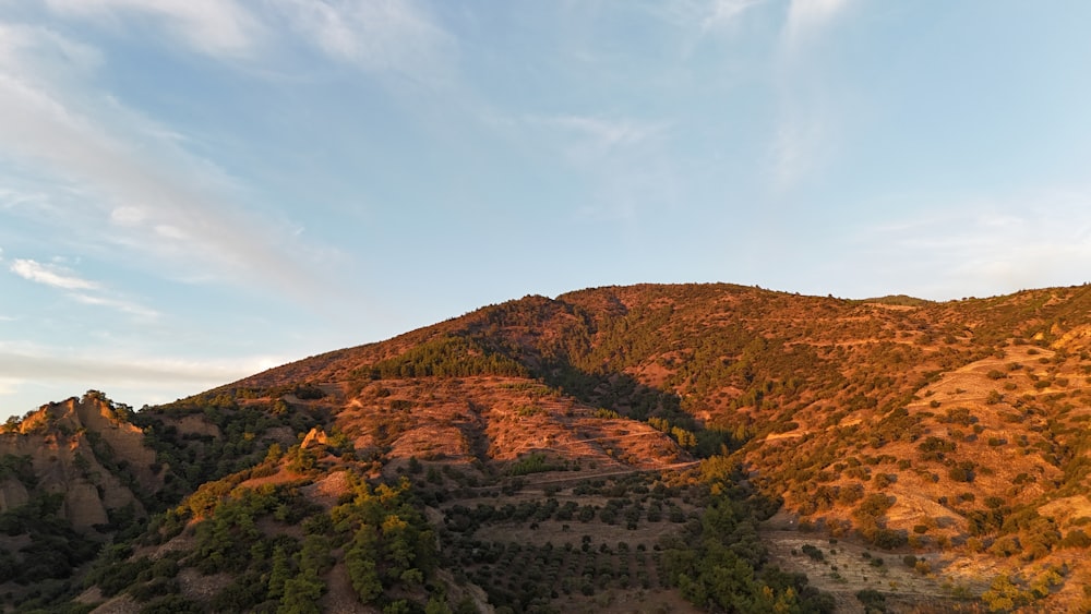 a view of a mountain with trees on it