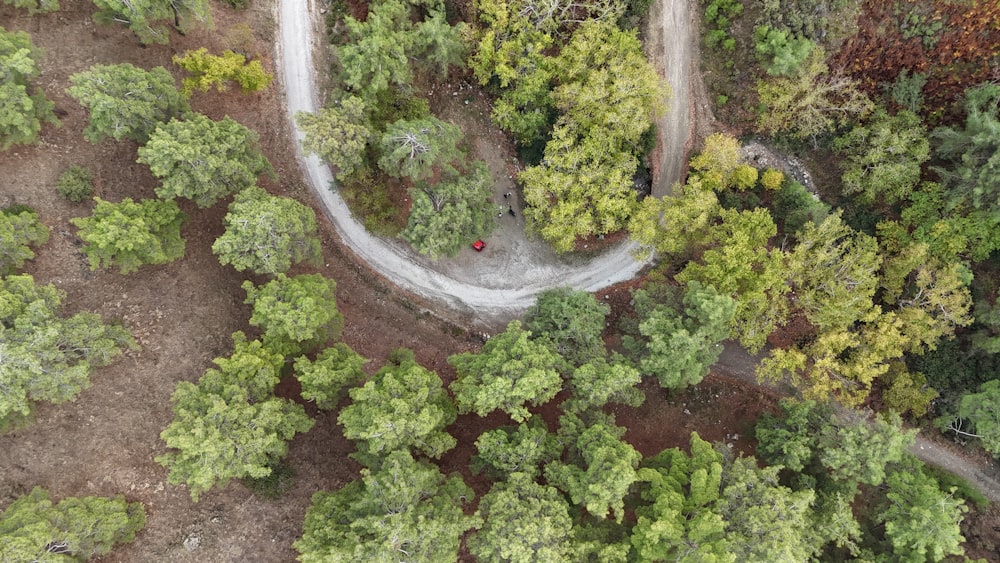 an aerial view of a road in the middle of a forest