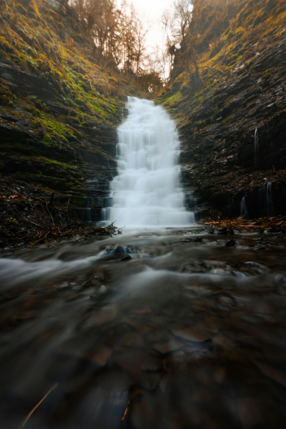 a small waterfall in the middle of a forest