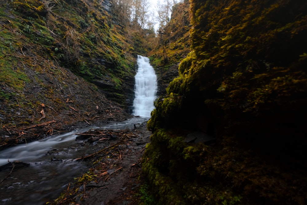 a small waterfall in the middle of a forest