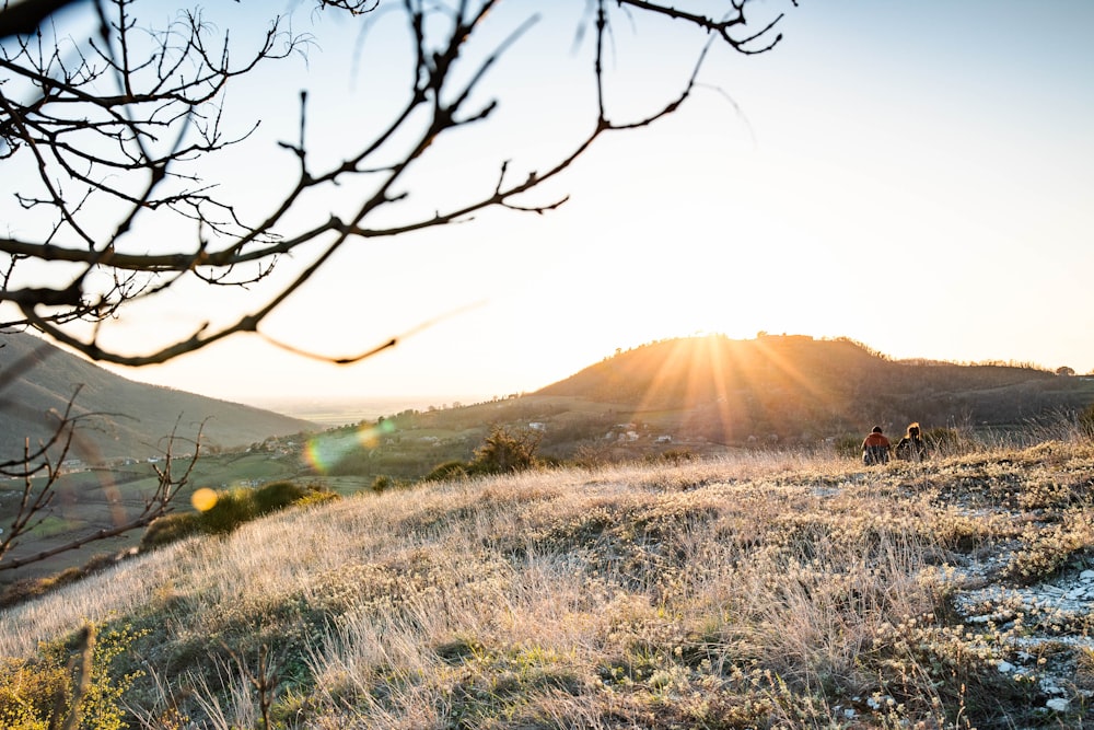 a couple of people riding horses down a hill