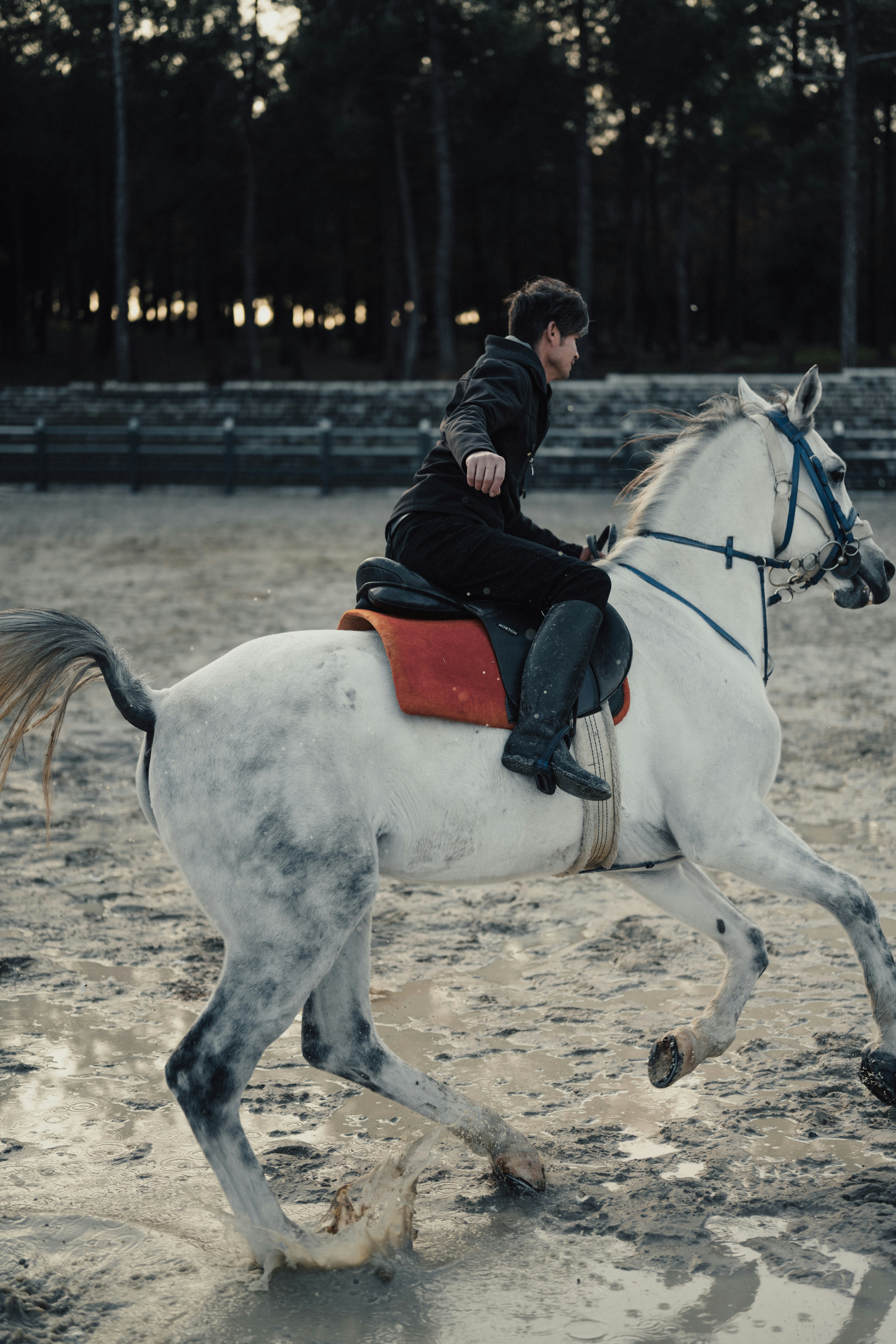 Enduring Mysteries (image credits: unsplash)