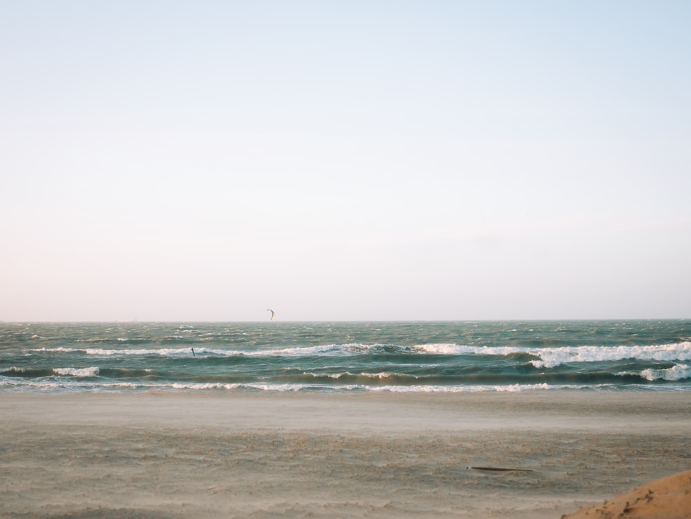 a bird flying over the ocean on a beach