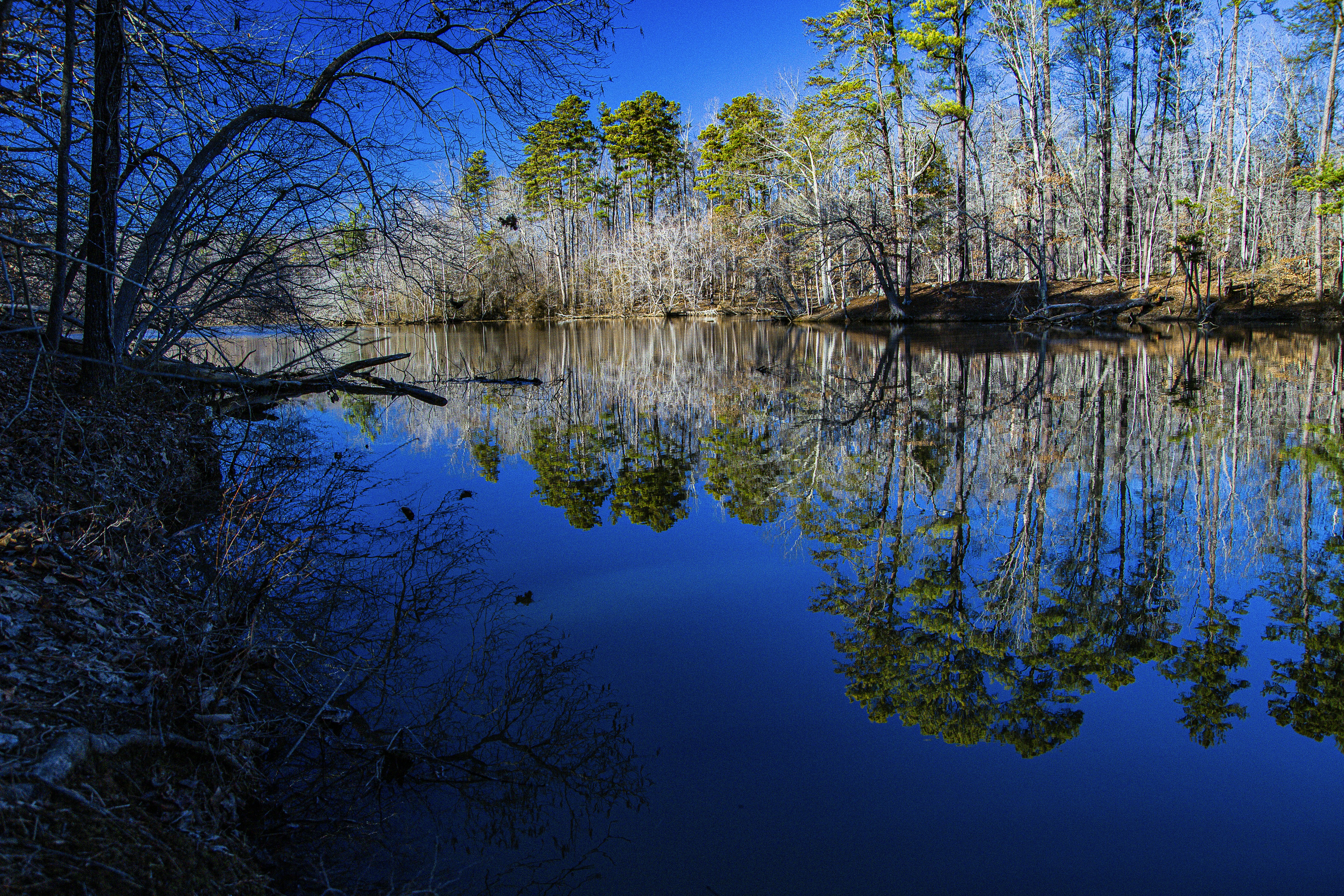 Photo by androidhammer