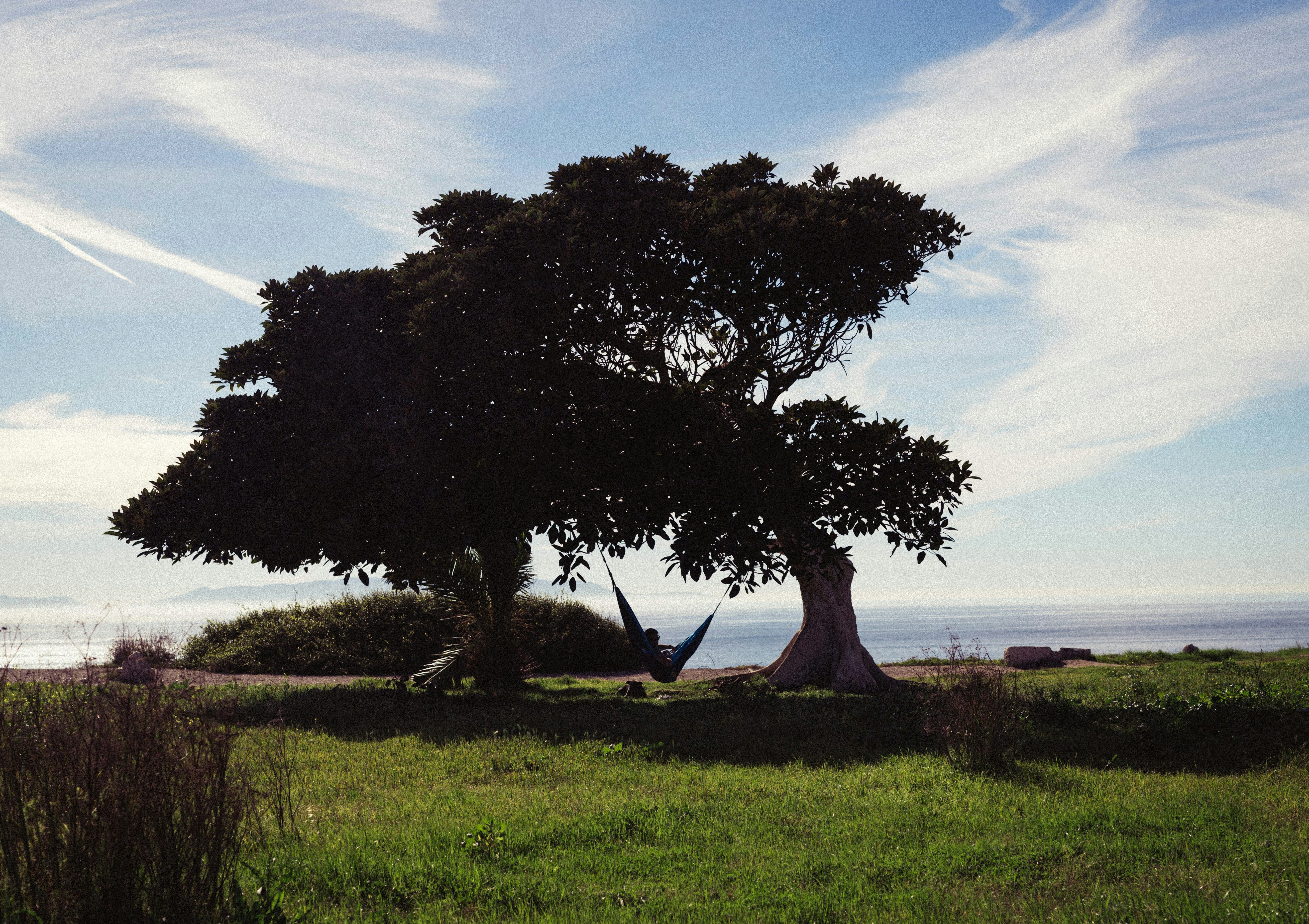 Photo by lowmurmer