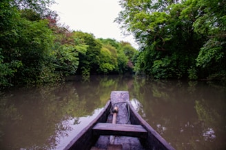 a boat traveling down a river next to a lush green forest