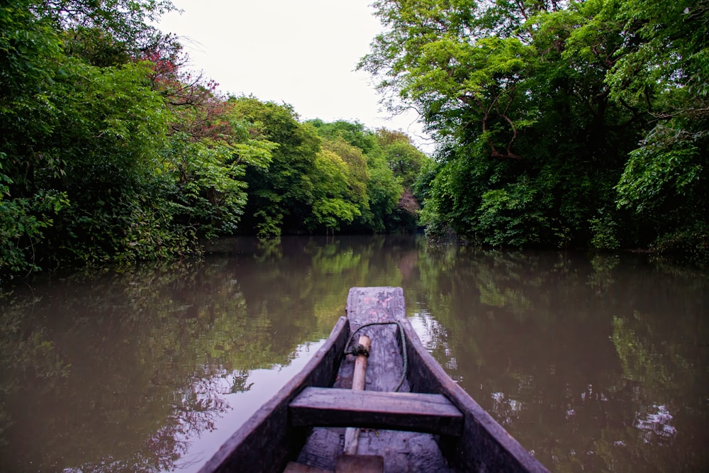 a boat traveling down a river next to a lush green forest