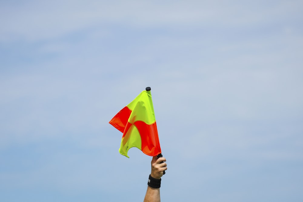 a person holding a kite in the air
