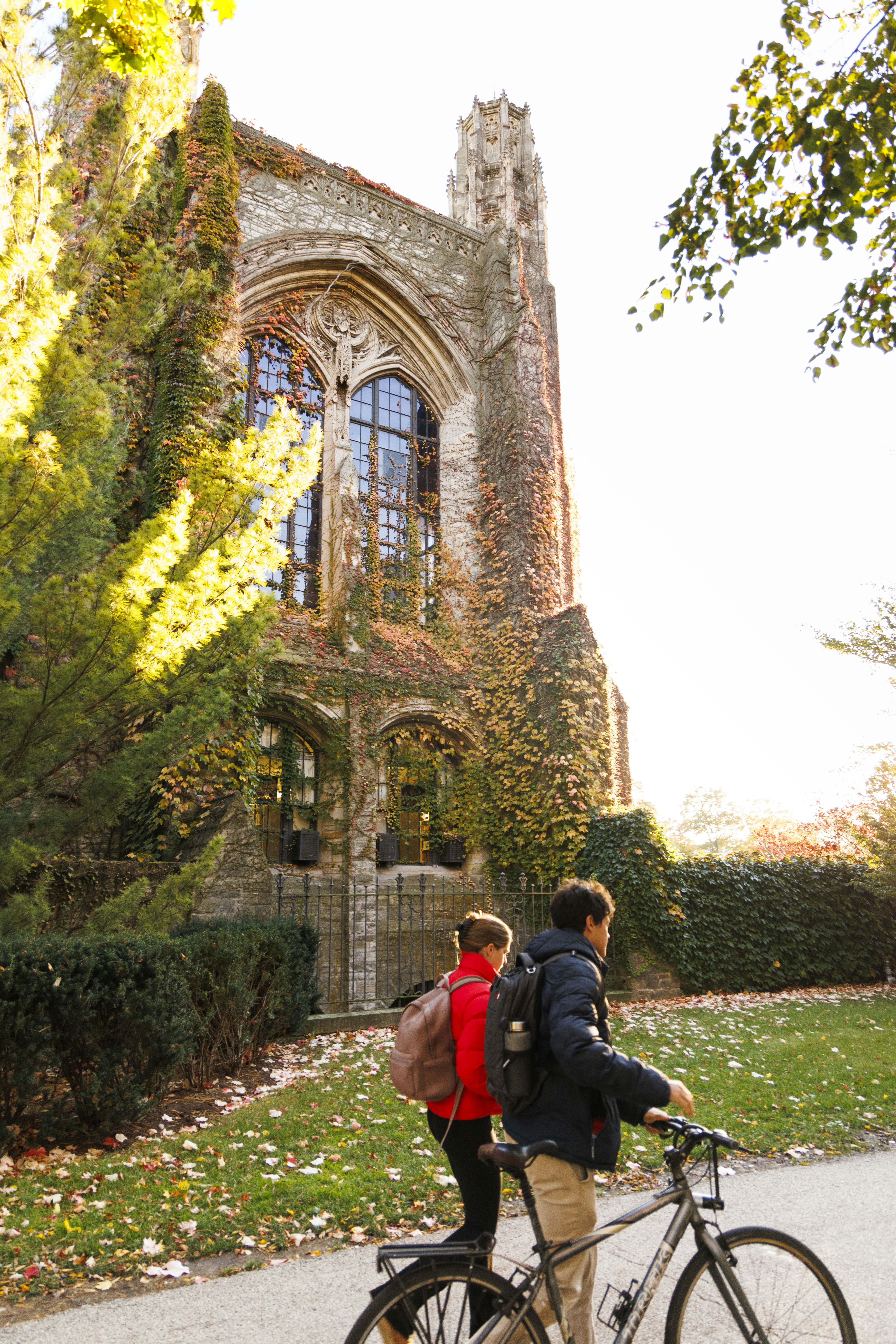a couple of people riding bikes down a street