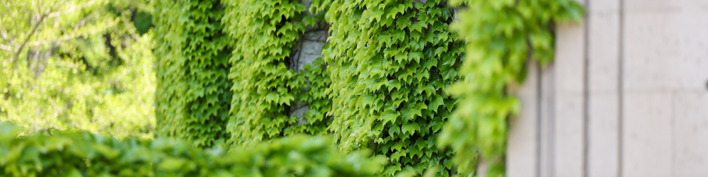 a close up of a green wall with a clock on it