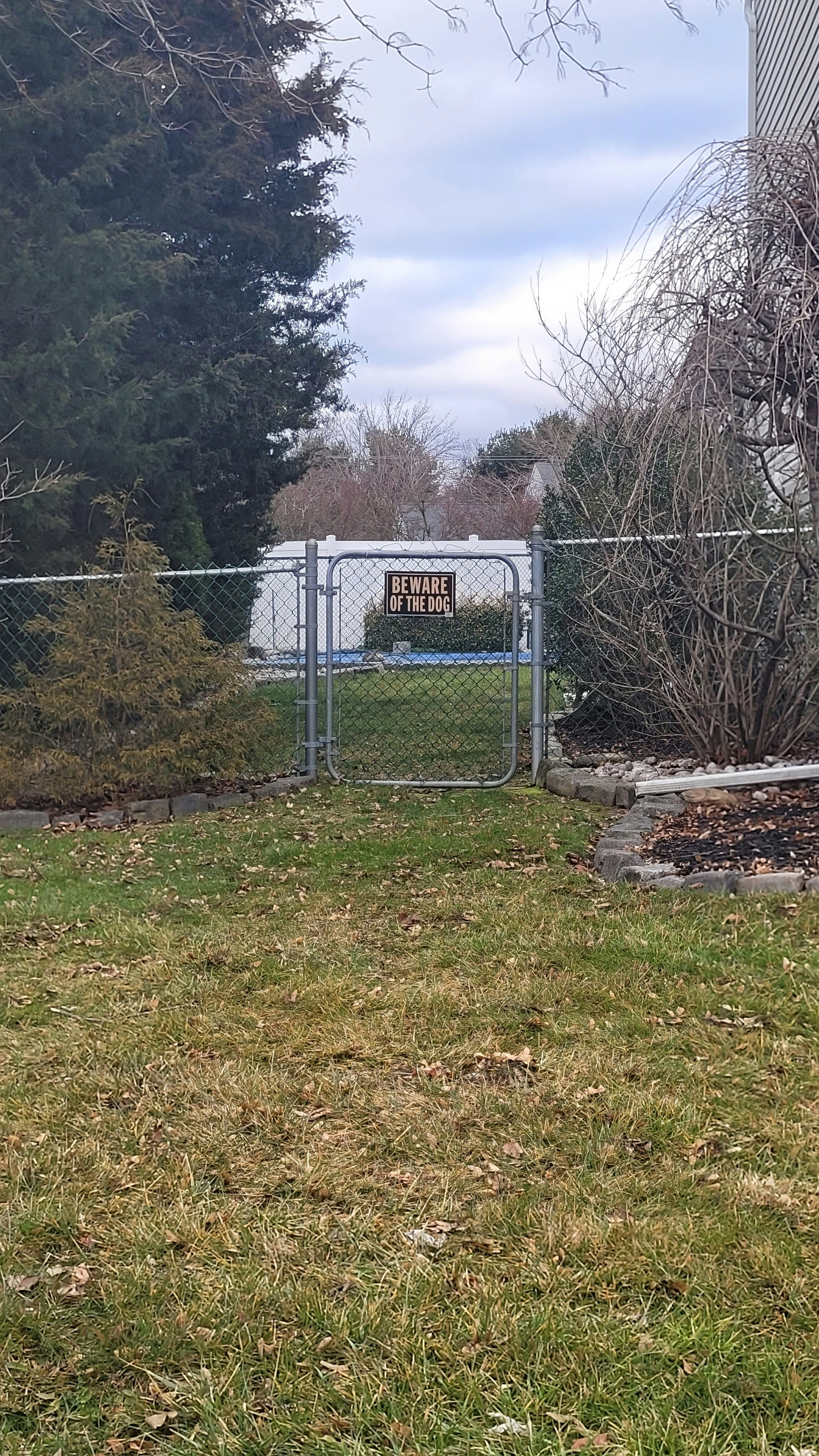 The Falcons Took Care Of The Wrong Dog