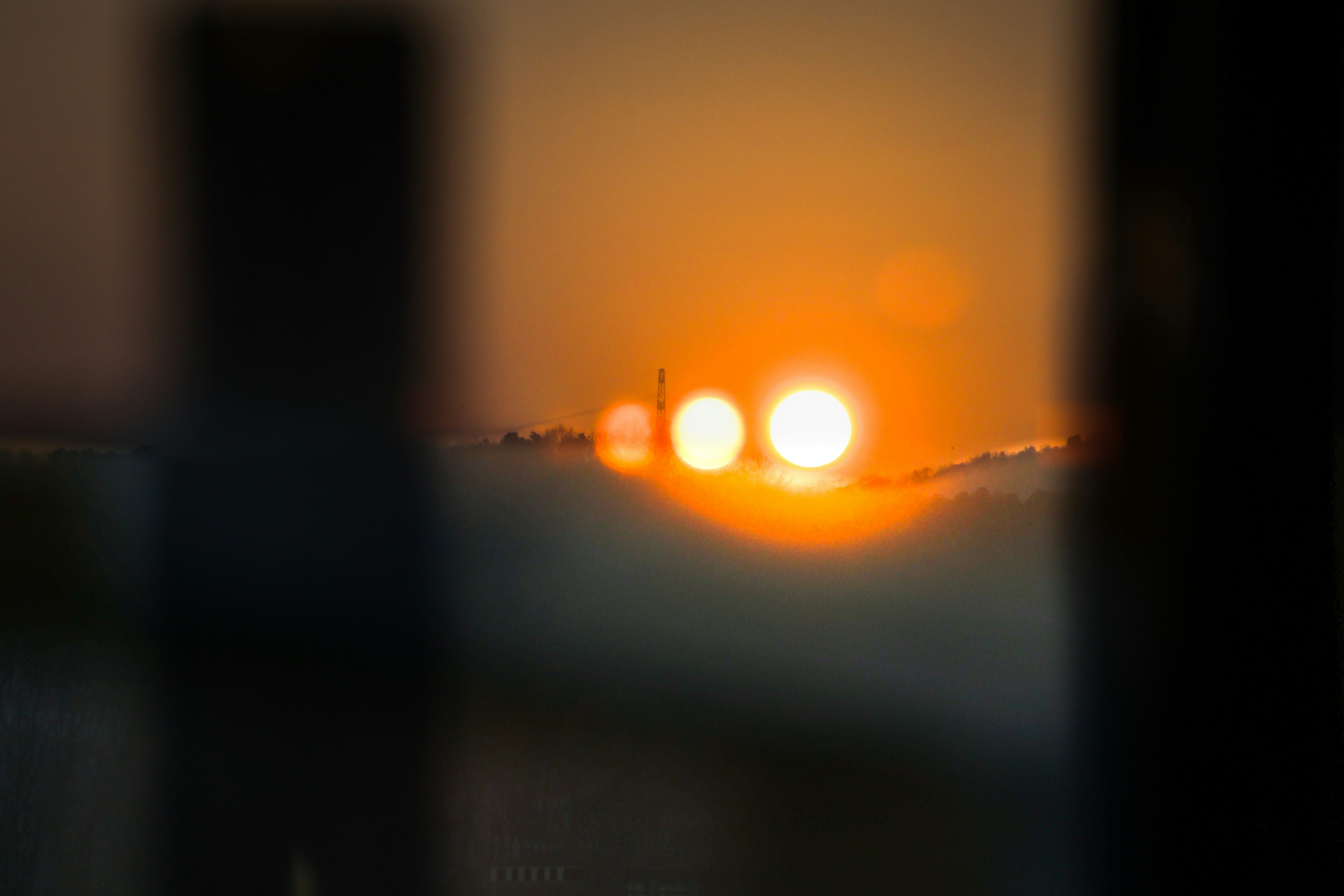 Photo by horseratbros