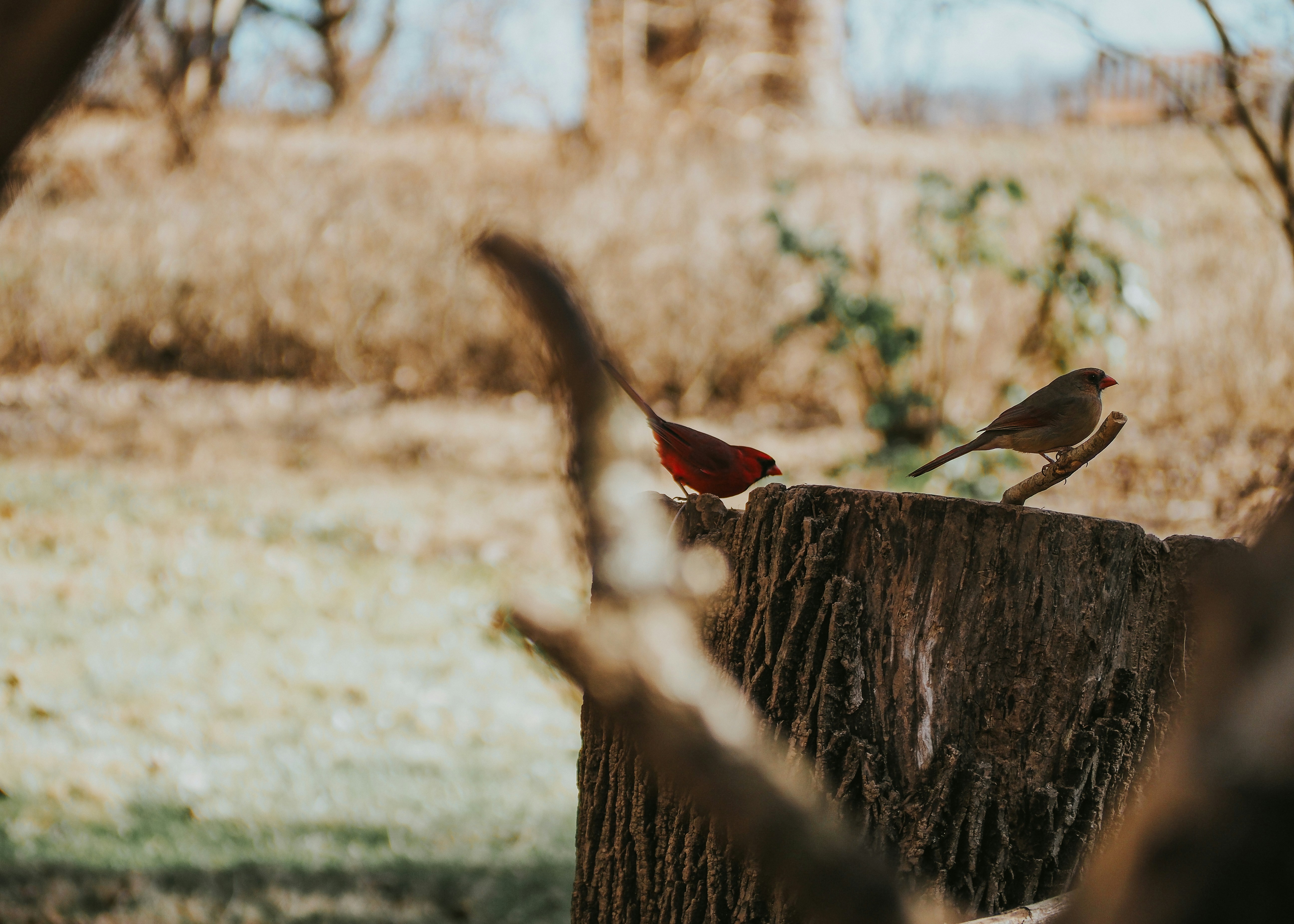 Photo by fieldworkframes