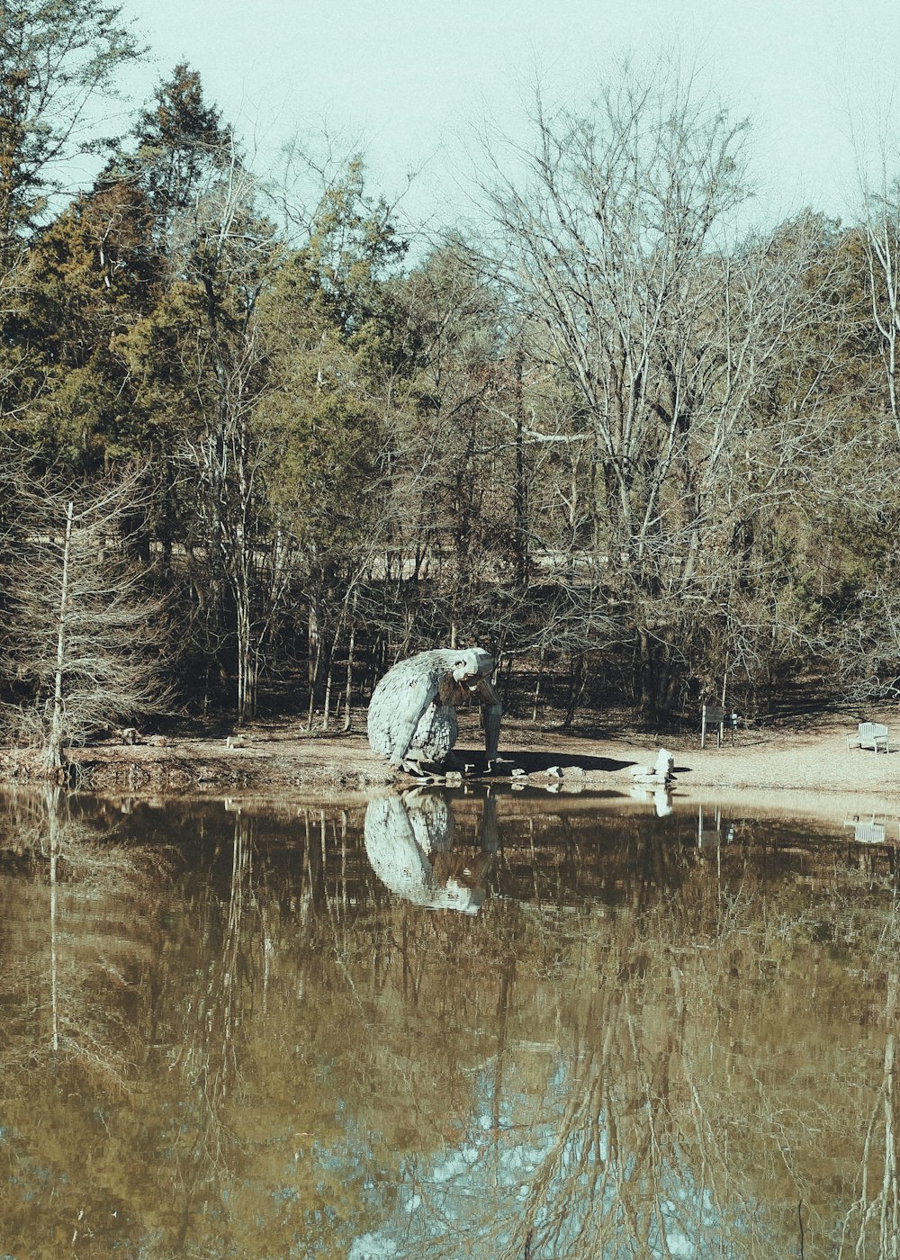 a person sitting on a bench near a body of water