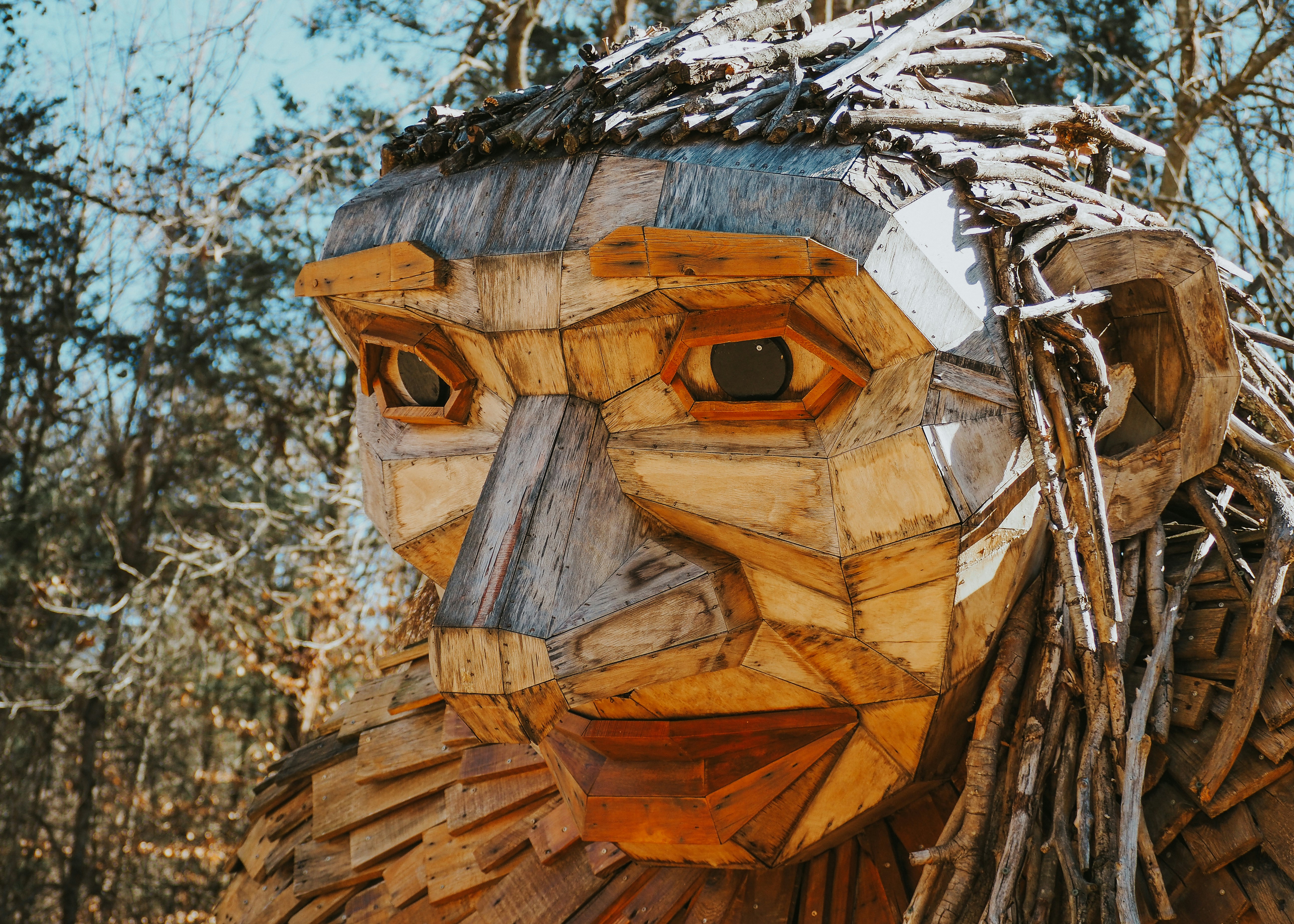 Wooden sculpture of a man's face surrounded by branches