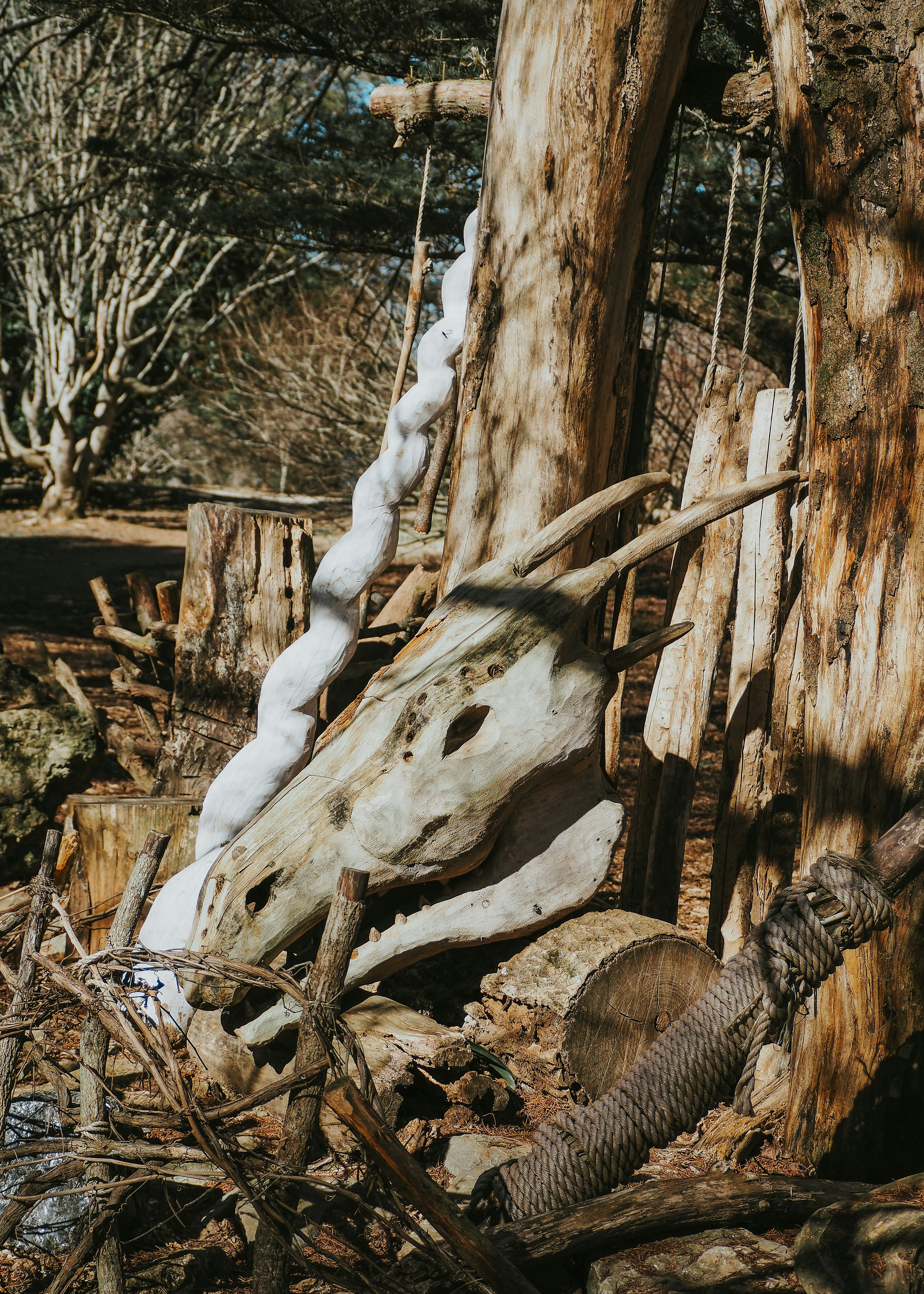 Photo by fieldworkframes