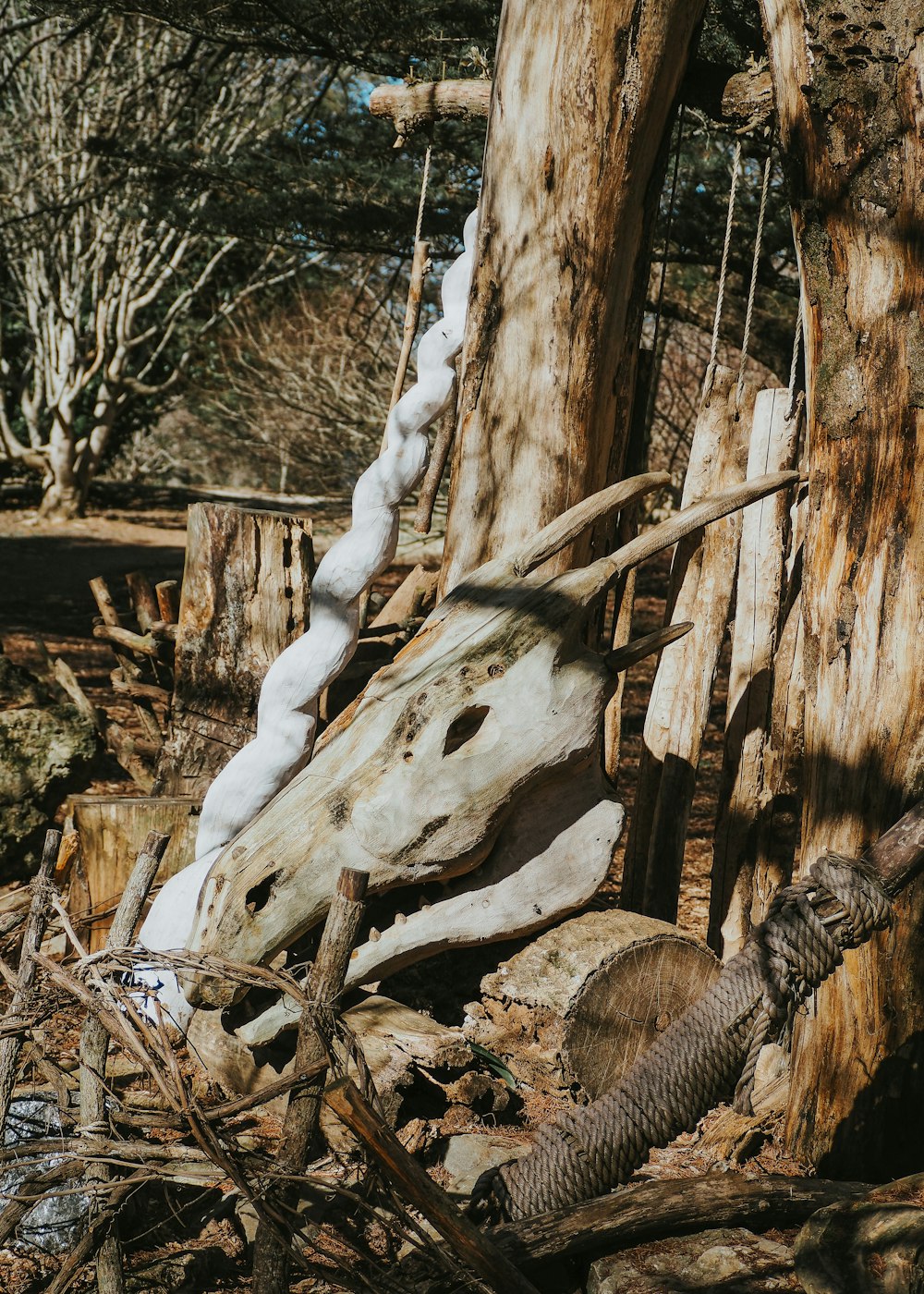 a bird standing next to a tree in a forest