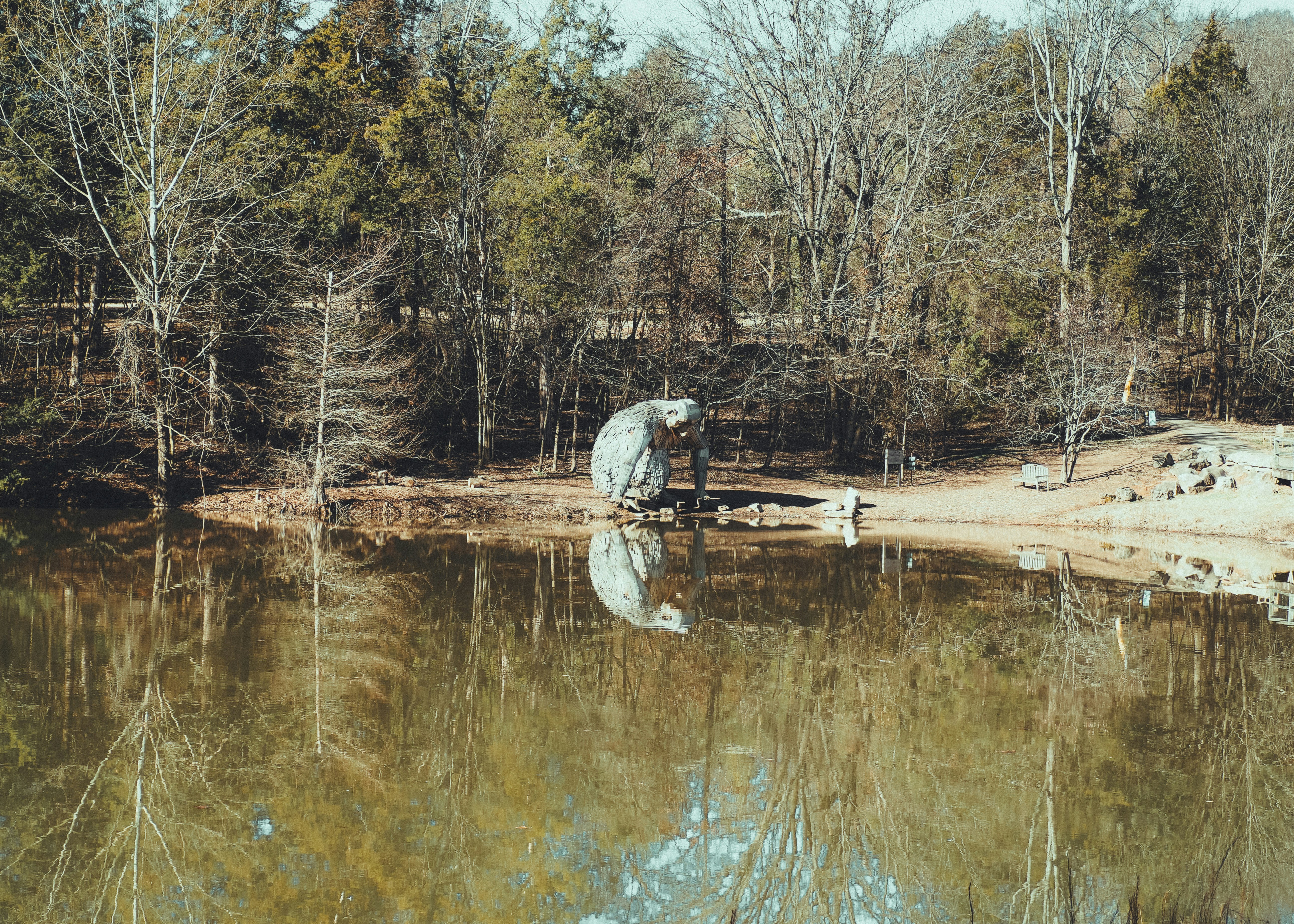 a large body of water surrounded by trees
