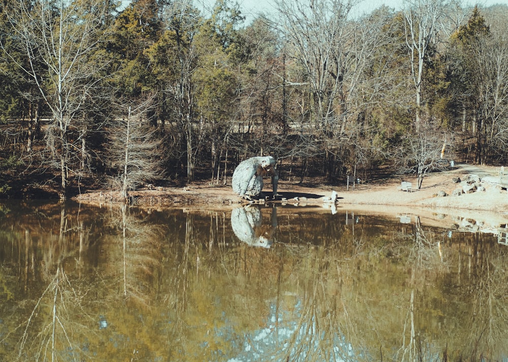 a large body of water surrounded by trees