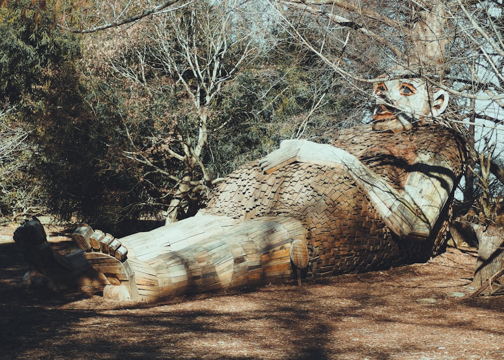 a large wooden animal laying on top of a forest floor
