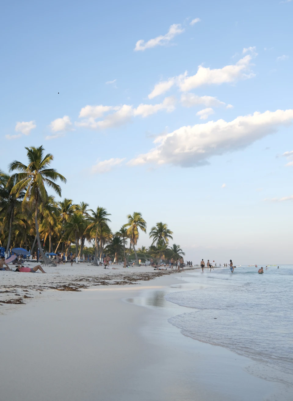 The image depicts a serene beach scene with white sand and clear blue skies. The beach is populated by palm trees, adding to the tropical ambiance. Several people are scattered across the beach, some walking along the shoreline while others are sitting under the shade of the trees. A few individuals can be seen standing in the water near the shoreline.