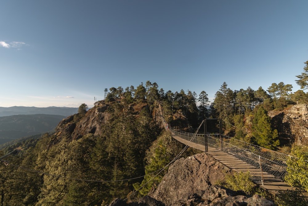 a suspension bridge in the middle of a forest