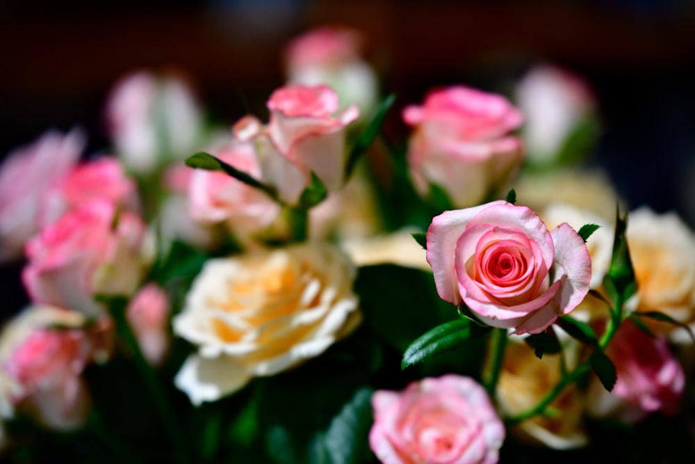 a bunch of pink and white roses in a vase