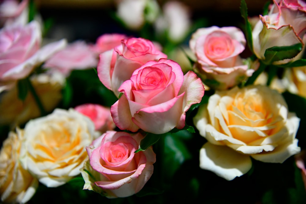 a bunch of pink and yellow roses in a vase