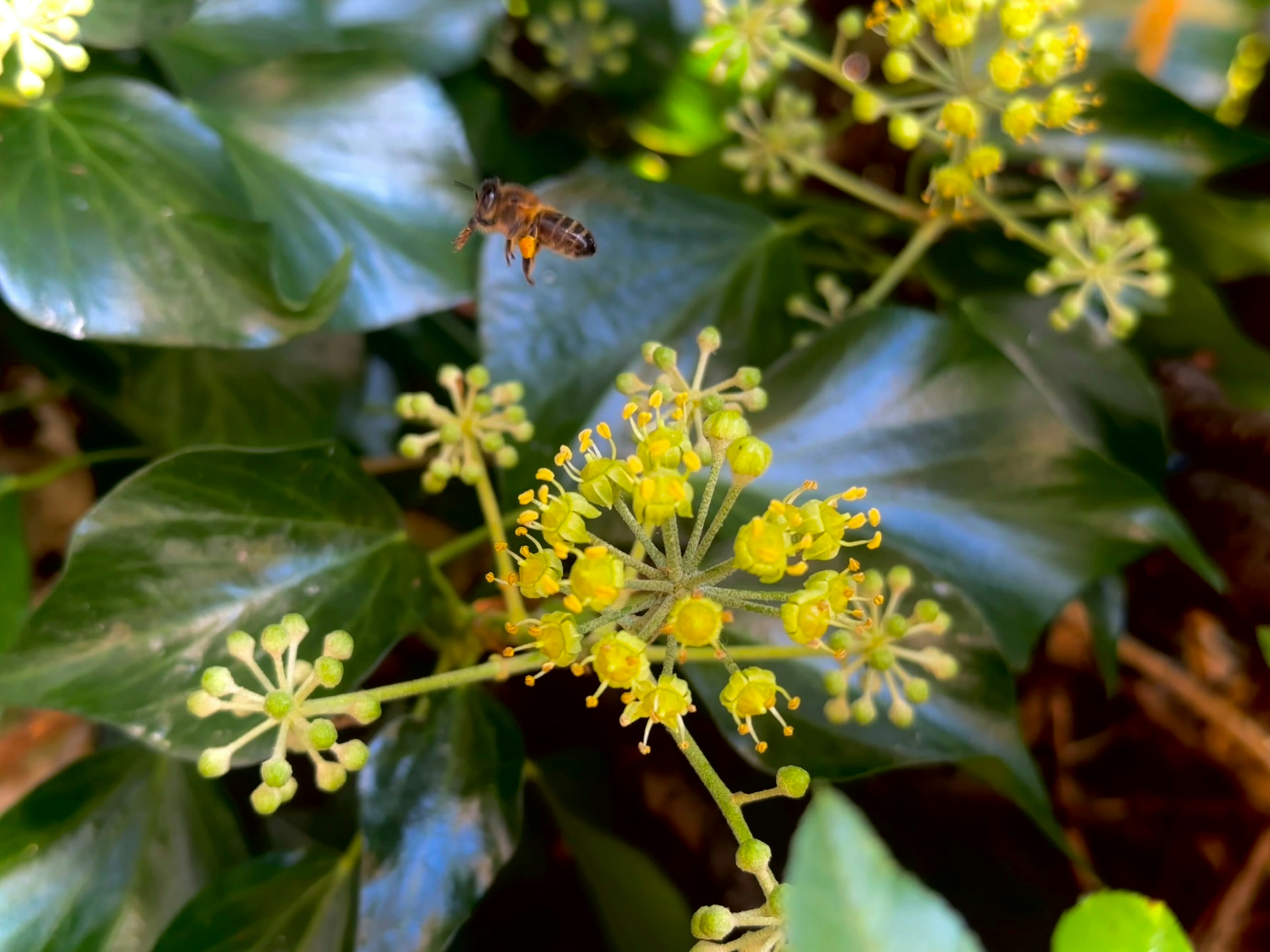 Photo by khashayar68