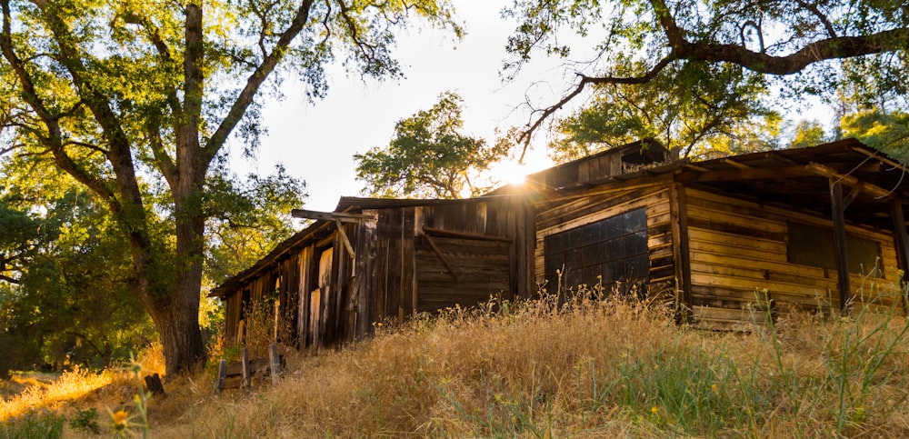 an old wooden cabin in a field with trees in the background