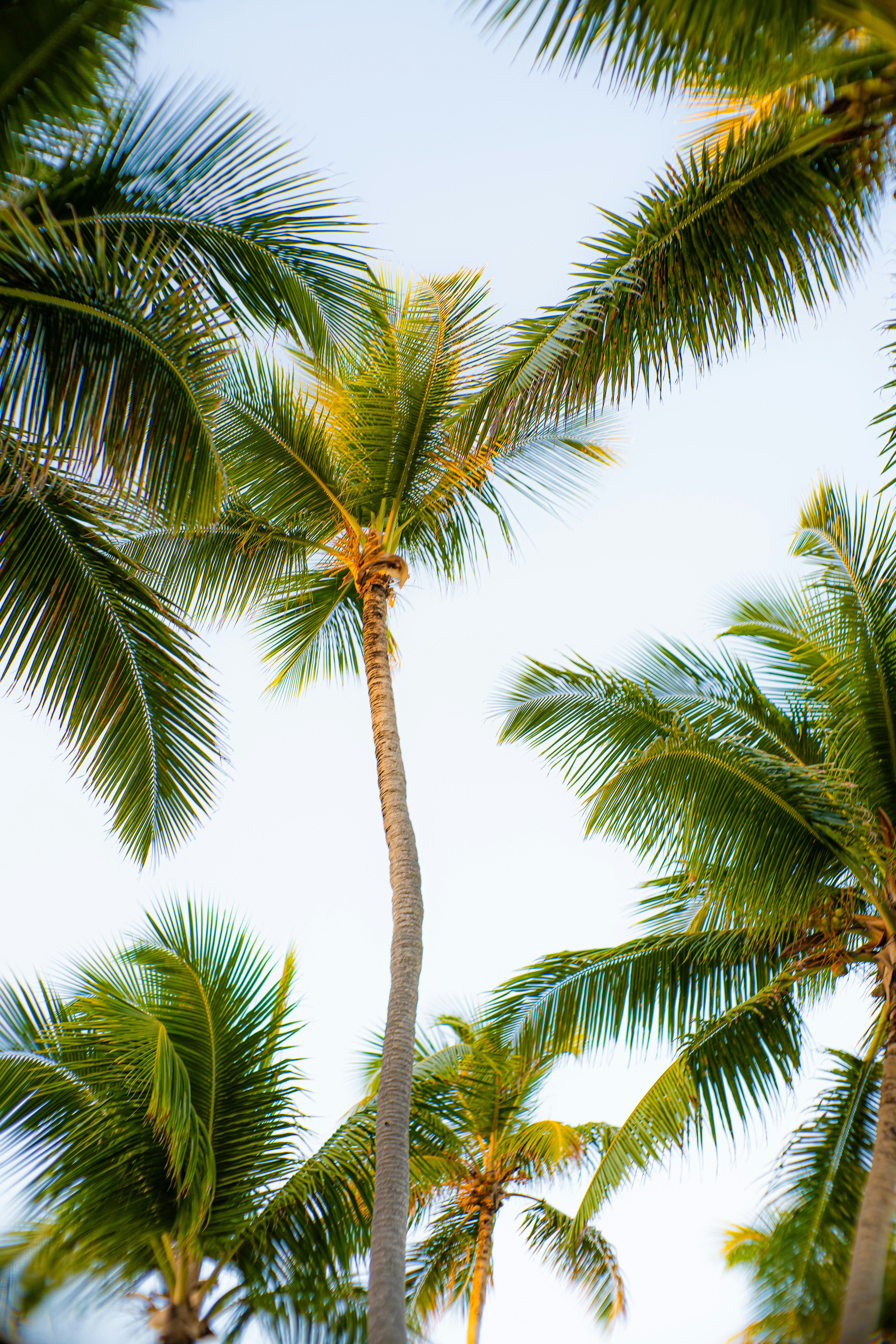 Photo by thomasthompson_raw