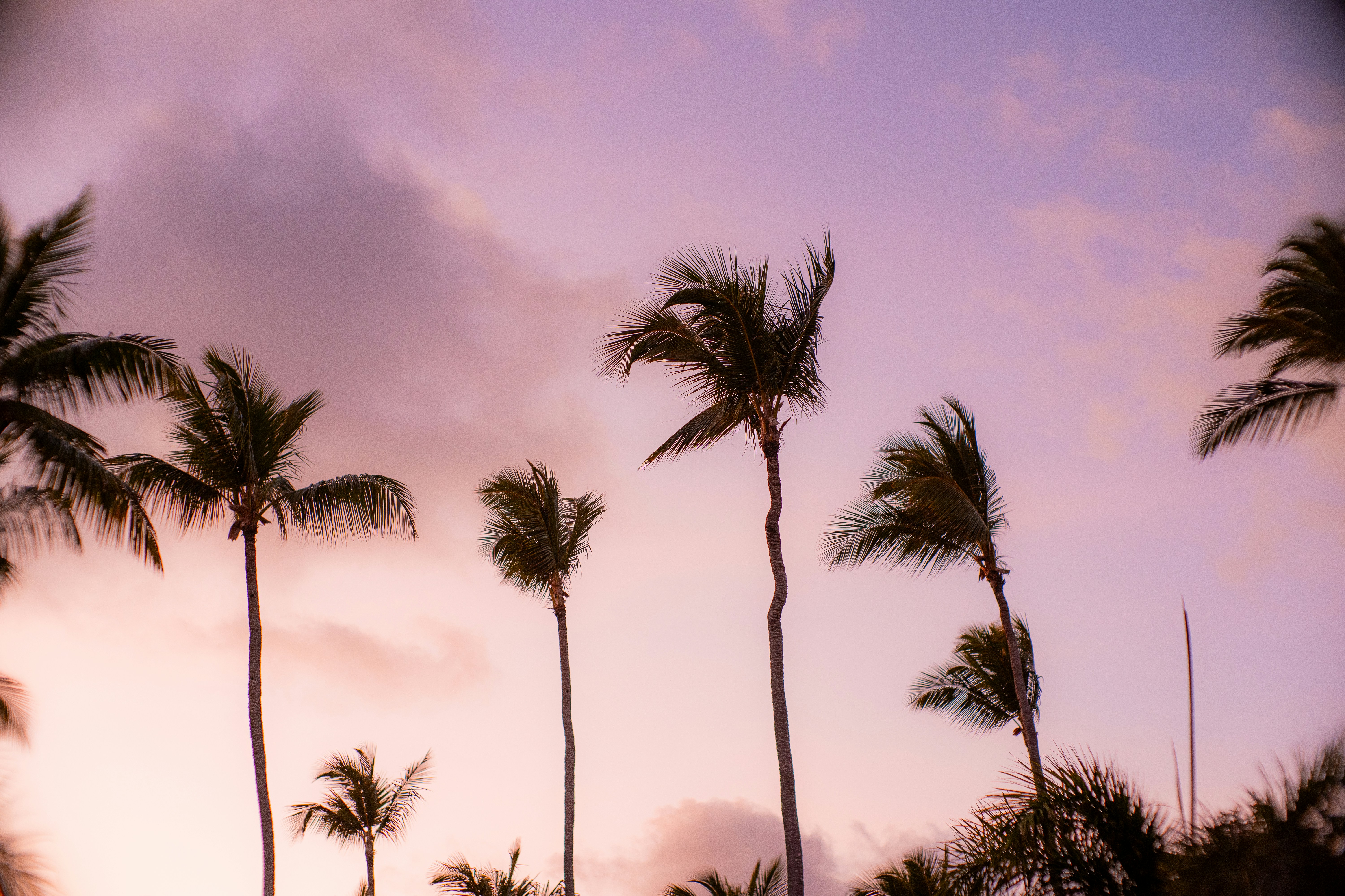 Photo by thomasthompson_raw