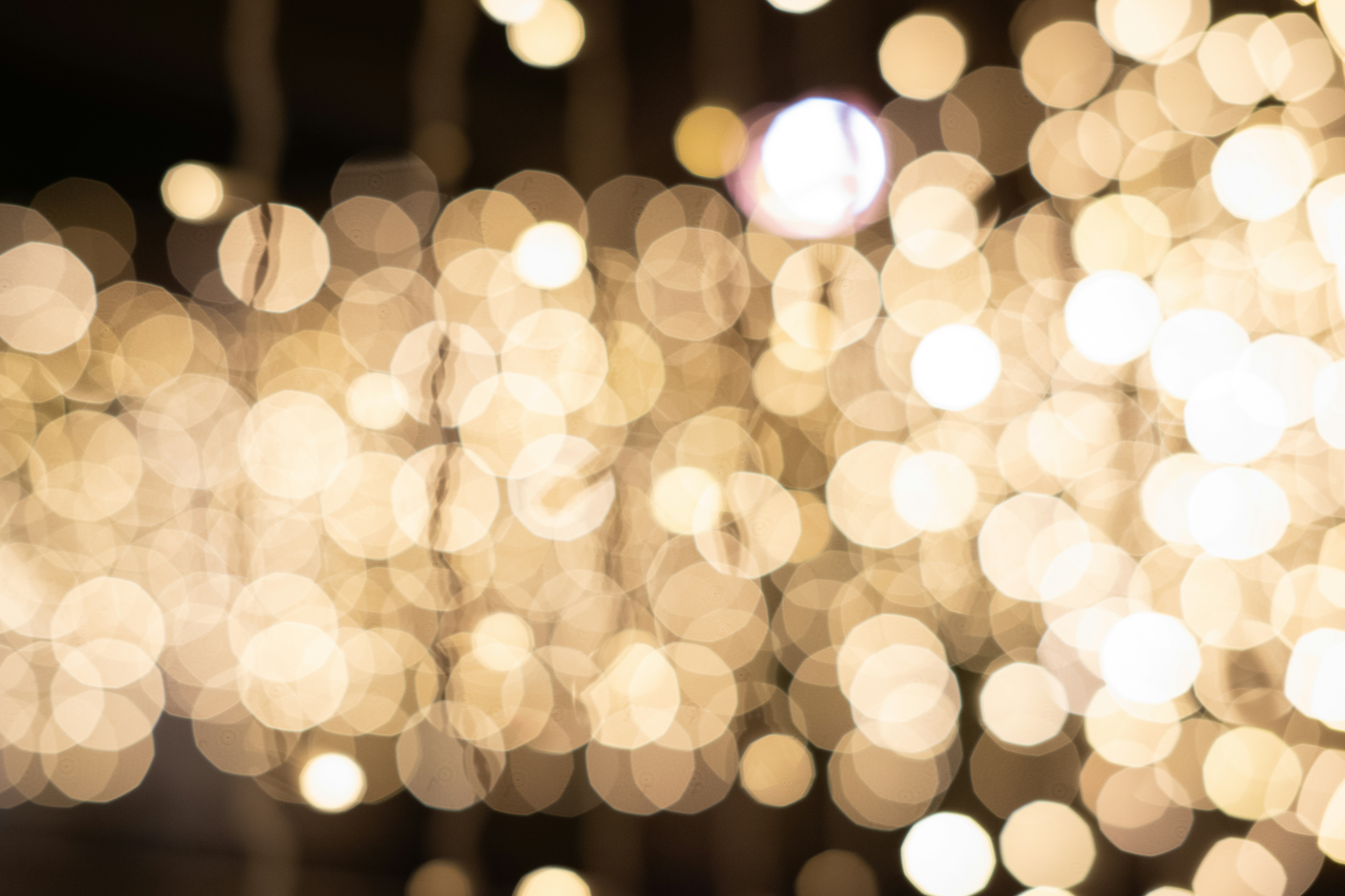 Photo by thomasthompson_raw