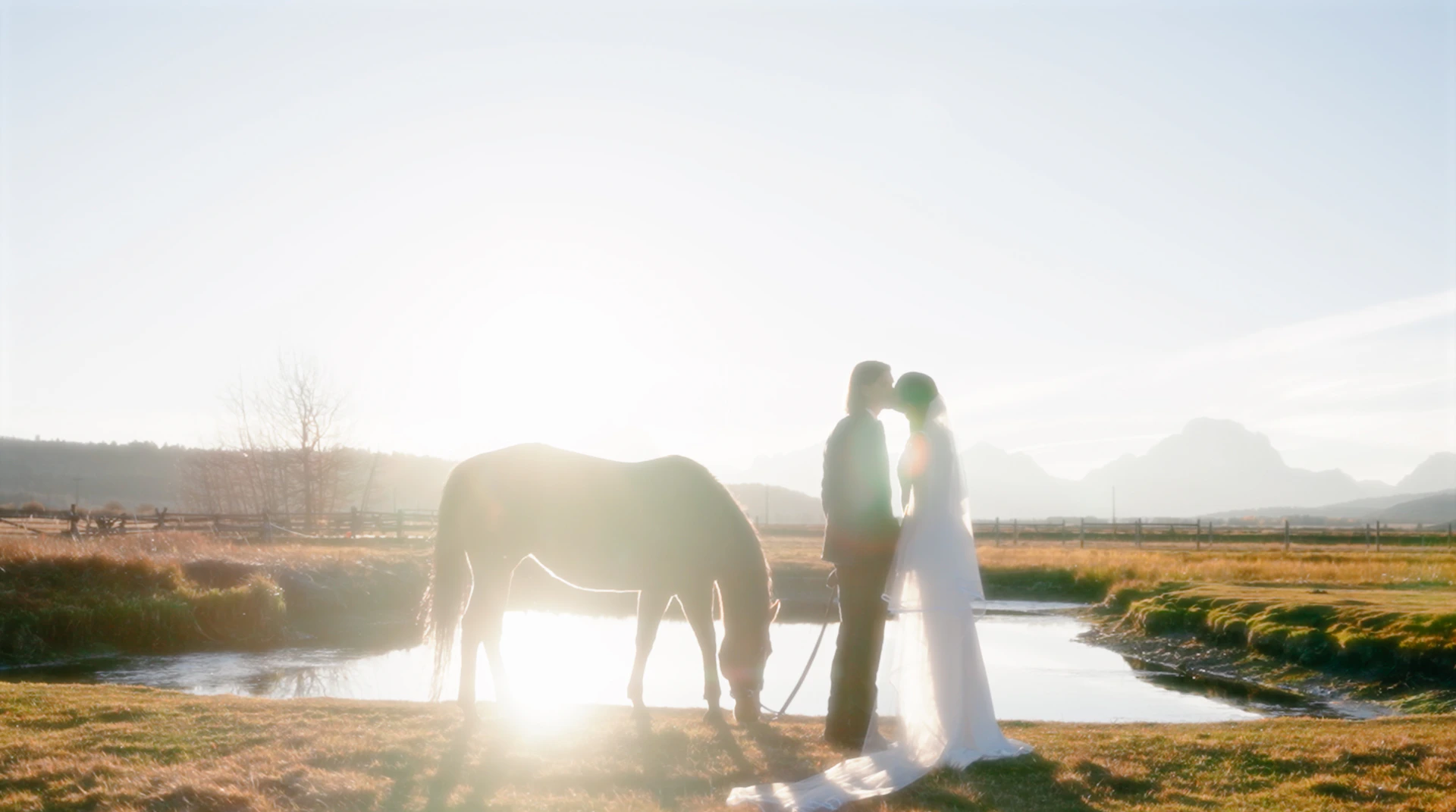a bride and groom standing next to a horse