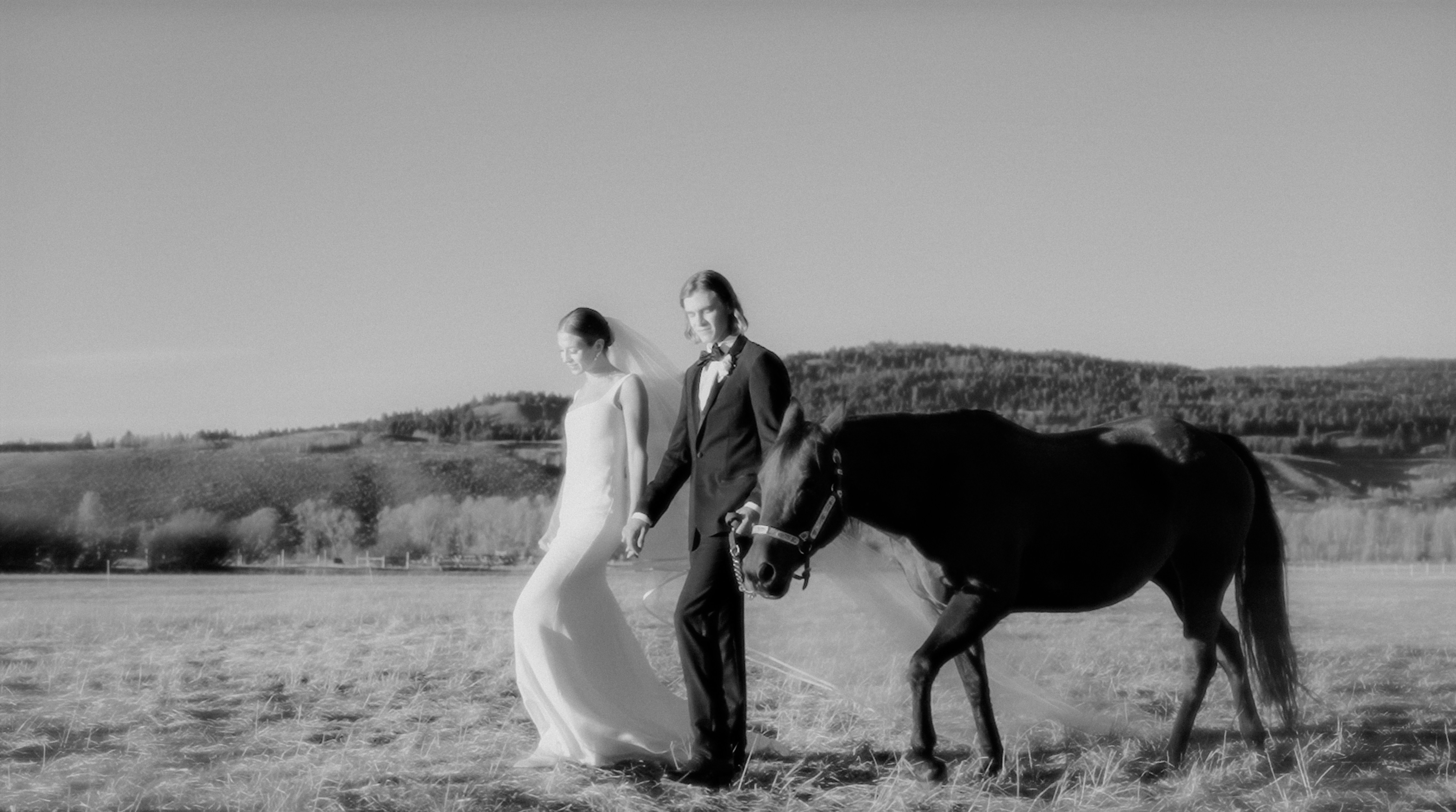 Cinematic wedding photography