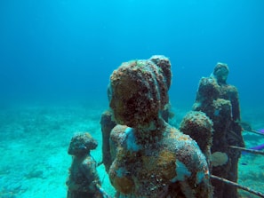 a couple of statues that are under water