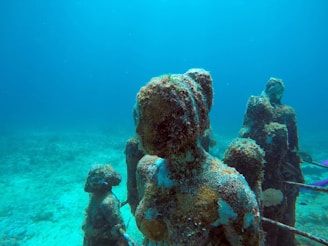 a couple of statues that are under water