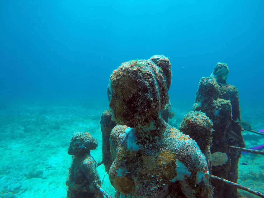 a couple of statues that are under water