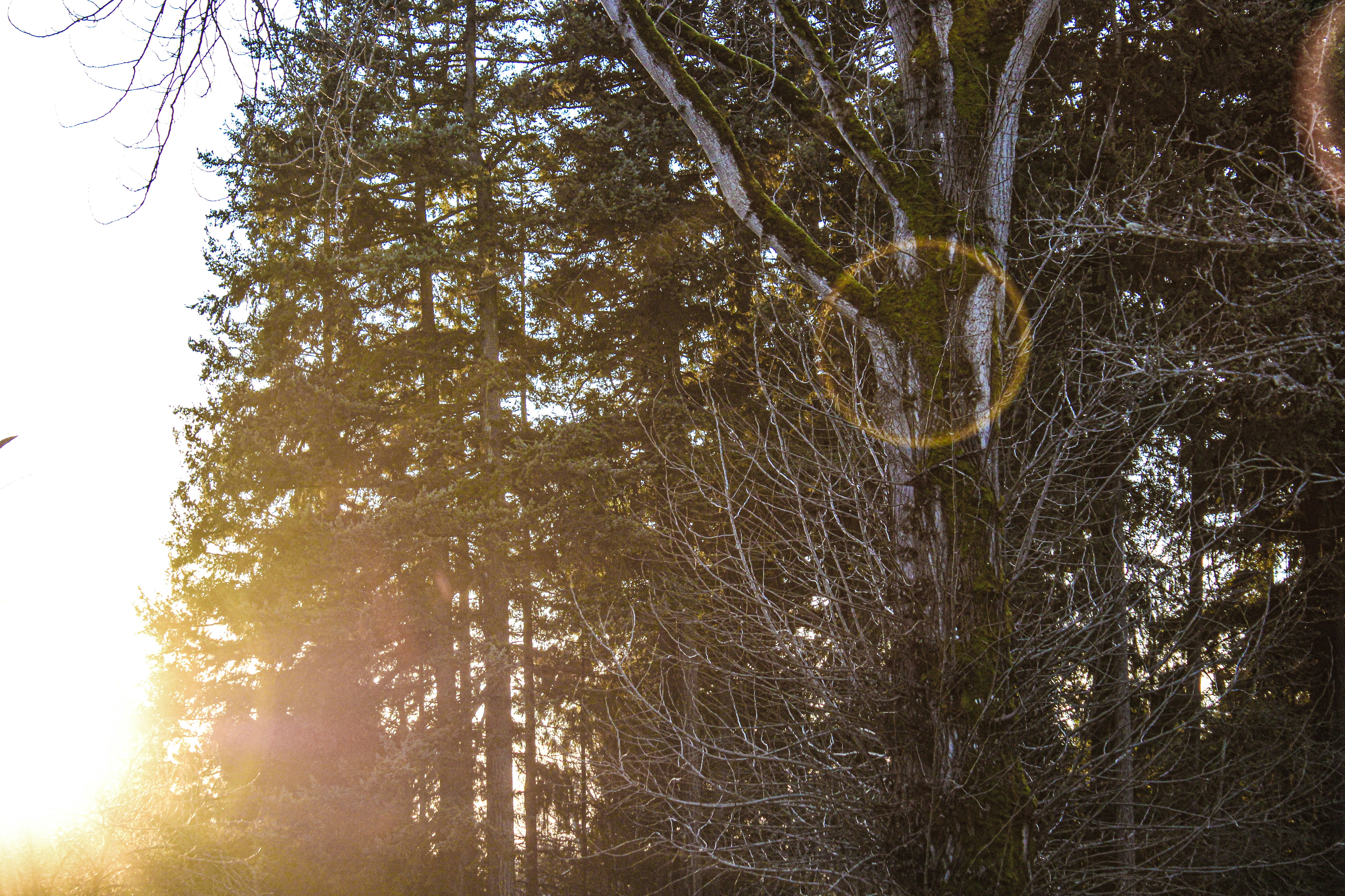 Photo by prphotography262