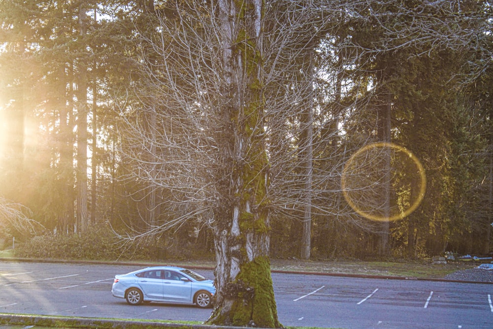 ein Auto, das auf einem Parkplatz neben einem Baum geparkt ist