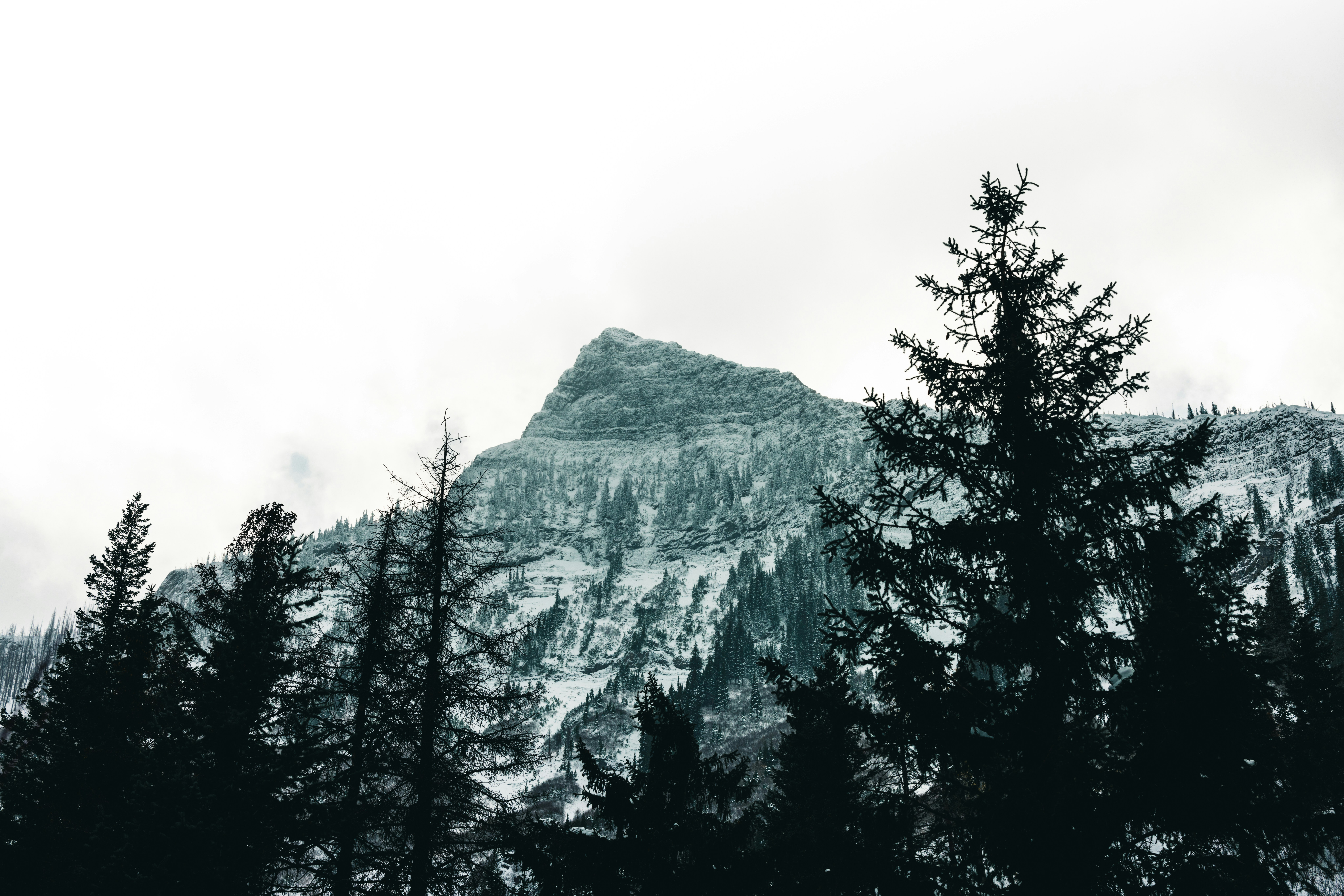 Photo by lureofadventure